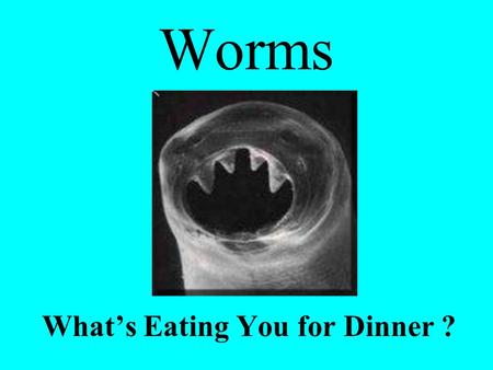 Worms What’s Eating You for Dinner ?.