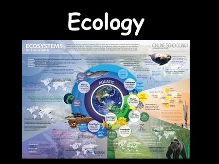 Ecology. WHAT IS ECOLOGY? Ecology- the scientific study of interactions between organisms and their environments, focusing on energy transfer Ecology.