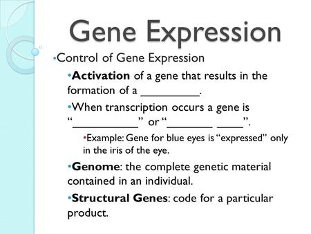 Gene Expression Control of Gene Expression Activation of a gene that results in the formation of a _________. When transcription occurs a gene is “__________”