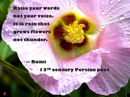Raise your words not your voice. It is rain that grows flowers not thunder. -- Rumi 13 th century Persian poet.