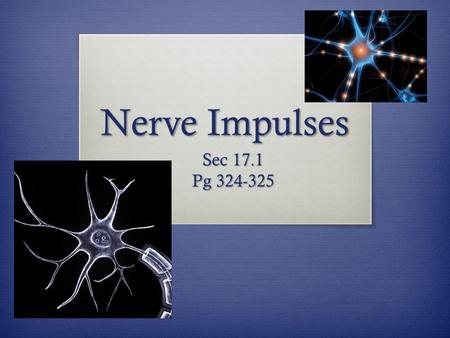 Nerve Impulses Sec 17.1 Pg 324-325. Memory Makers from Last Class…  Fingerlike Extensions  Outskirts and Organs Please PNS  Conductor Tubes  Go between.