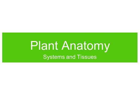 Plant Anatomy Systems and Tissues.