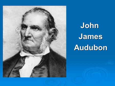 John James James Audubon Audubon. Wildlife artists create artworks of wild animals in their natural settings.
