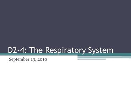 D2-4: The Respiratory System September 13, 2010. Genesis 2:7 The Lord God formed the man from the dust of the ground and breathed into his nostrils the.