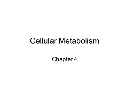 Cellular Metabolism Chapter 4. Protein Synthesis How DNA works.