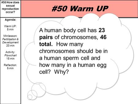 #50 How does sexual reproduction occur? Agenda: Warm UP: 5 min Minilesson: Fertilization & Development 20 min Activity: Flowchart 15 min Reflection: 5.
