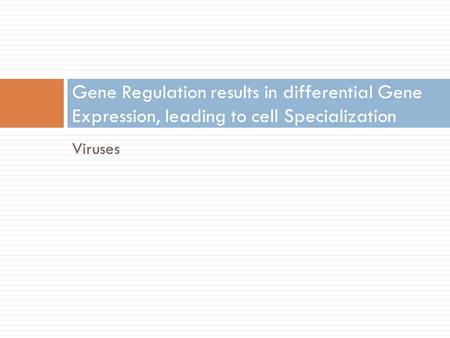 Viruses Gene Regulation results in differential Gene Expression, leading to cell Specialization.