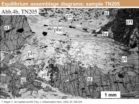 T. Nagel, C. de Capitani and M. Frey, J. metamorphic Geol., 2002, 20, 309-324 Equilibrium assemblage diagrams: sample TN205 1 mm.