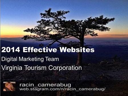 2014 Effective Websites Digital Marketing Team Virginia Tourism Corporation.