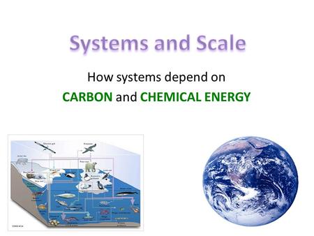 How systems depend on CARBON and CHEMICAL ENERGY.