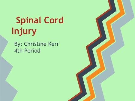 Spinal Cord Injury By: Christine Kerr 4th Period.