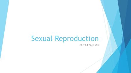 Sexual Reproduction Ch 19.1 page 513. Sexual reproduction - A type of reproduction in which two parents give rise to offspring that have unique combinations.