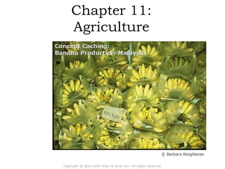 Chapter 11: Agriculture Copyright © 2012 John Wiley & Sons, Inc. All rights reserved. © Barbara Weightman Concept Caching: Banana Production-Malaysia.