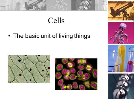 Cells The basic unit of living things. Agenda Cells Unit DO NOW: Observe the objects lettered to the right. List all the object you think are alive or.