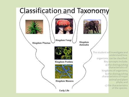 Classification and Taxonomy The student will investigate and understand how organisms can be classified. Key concepts include: a) the distinguishing characteristics.