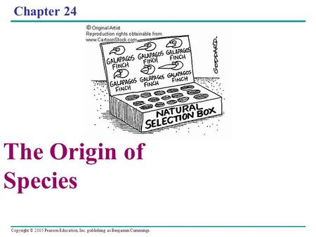 Chapter 24 The Origin of Species.