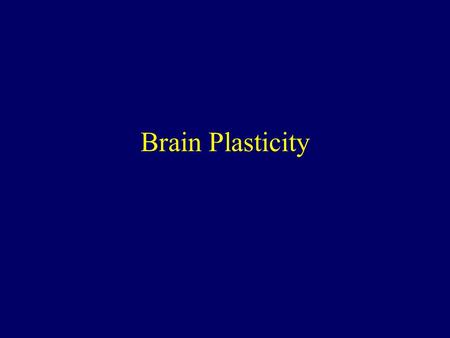 Brain Plasticity.
