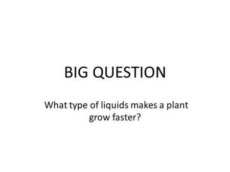 BIG QUESTION What type of liquids makes a plant grow faster?