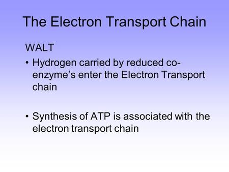 WALT Hydrogen carried by reduced co- enzyme’s enter the Electron Transport chain Synthesis of ATP is associated with the electron transport chain The Electron.