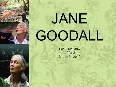 JANE GOODALL Scout McCraw HSB4M March 5 th 2012. INTRODUCTION Jane Goodall is a world renowned ethologist, anthropologist, and primatologist. She was.