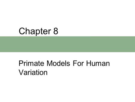 Chapter 8 Primate Models For Human Variation. Chapter Outline  Human Origins and Behavior  Brain and Body Size  Language  Primate Cultural Behavior.