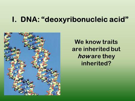 I. DNA: “deoxyribonucleic acid” We know traits are inherited but how are they inherited?
