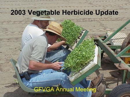 2003 Vegetable Herbicide Update GFVGA Annual Meeting.