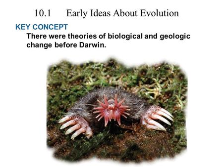 KEY CONCEPT There were theories of biological and geologic change before Darwin. 10.1 Early Ideas About Evolution.