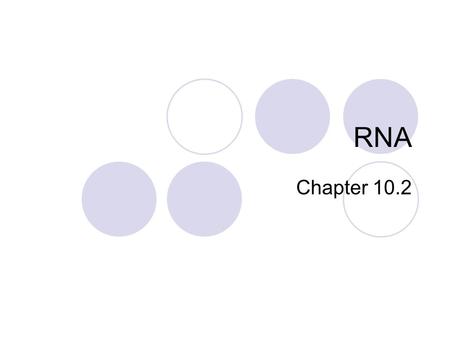 RNA Chapter 10.2. Structure of RNA Ribose- the sugar molecule of every RNA nucleotide Uracil- nitrogen-containing pyrimidine base (replaces thymine) Uracil.