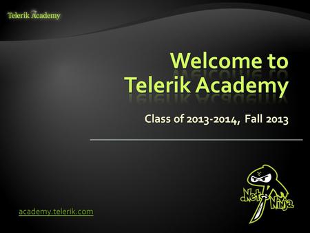 Academy.telerik.com Class of 2013-2014, Fall 2013.