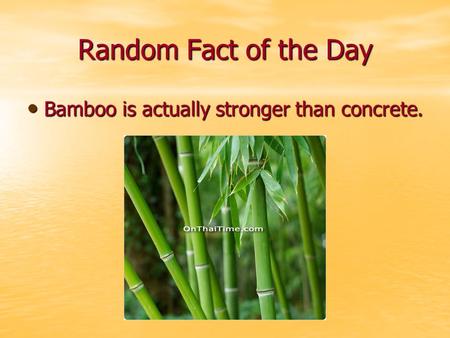 Random Fact of the Day Bamboo is actually stronger than concrete. Bamboo is actually stronger than concrete.