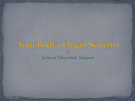 Jackson Education Support. What does each organ system to do keep our bodies functioning properly?