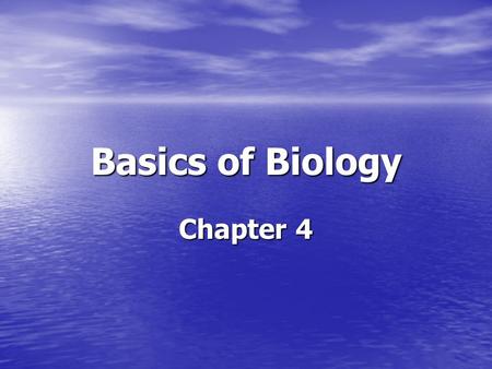 Basics of Biology Chapter 4. 2 Developing Shark Embryo.