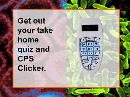 Get out your take home quiz and CPS Clicker.. Bacterial morphology deals primarily with how the bacteria are shaped and how they are grouped together.