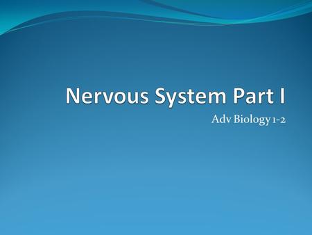Adv Biology 1-2. The Nervous System Consists of the brain, spinal cord and supporting cells. Purpose: Sensory input-conduction of signals to the brain.