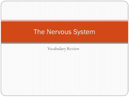 Vocabulary Review The Nervous System. Peripheral nervous system Cranial and spinal nerves outside the central nervous system Central nervous system Consists.