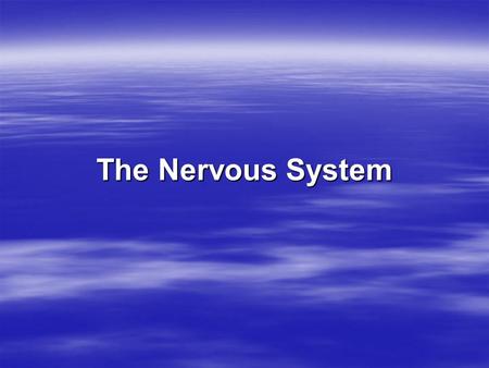 The Nervous System. Vertebrate nervous systems The nervous system has two main divisions: the central nervous system (CNS) and the peripheral nervous.
