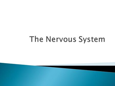  Identify the principle parts of the nervous system  Describe the cells that make up the nervous system  Describe what starts and stops a nerve impulse.