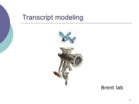 1 Transcript modeling Brent lab. 2 Overview Of Entertainment  Gene prediction Jeltje van Baren  Improving gene prediction with tiling arrays Aaron Tenney.