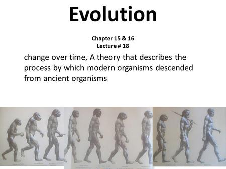 Evolution Chapter 15 & 16 Lecture # 18 change over time, A theory that describes the process by which modern organisms descended from ancient organisms.