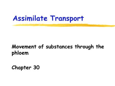 Assimilate Transport Movement of substances through the phloem Chapter 30.