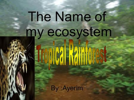 The Name of my ecosystem By :Ayerim. A Ecosystem is Living things, and places. -A Biome is certain types living things, Climate, and the places.
