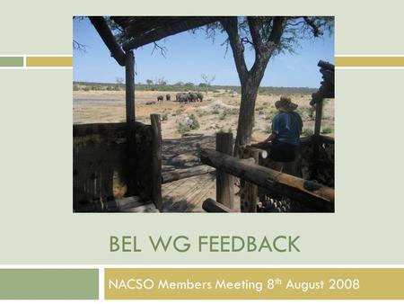 BEL WG FEEDBACK NACSO Members Meeting 8 th August 2008.