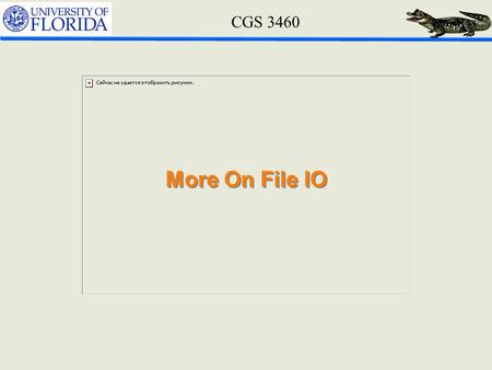 CGS 3460 More On File IO. CGS 3460 What is a File n A file is a package of information with a name attached to it. n Files are used for various purposes: