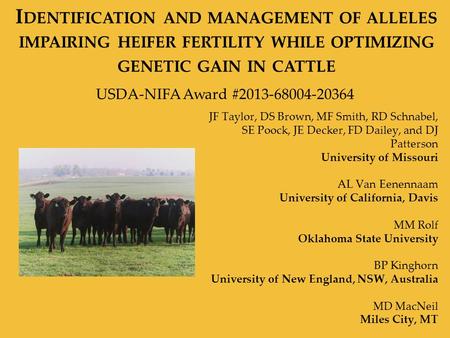 I DENTIFICATION AND MANAGEMENT OF ALLELES IMPAIRING HEIFER FERTILITY WHILE OPTIMIZING GENETIC GAIN IN CATTLE JF Taylor, DS Brown, MF Smith, RD Schnabel,