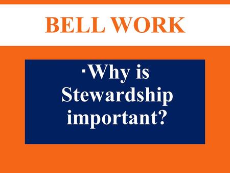 BELL WORK  Why is Stewardship important?. STEWARDSHIP  The important reasons  Gives us power and are not overpowered  Using resources that we have.