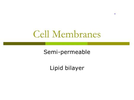 Cell Membranes Semi-permeable Lipid bilayer. Function of Plasma Membrane  Physically separates cell from outside world  Maintains homeostasis  Regulates.