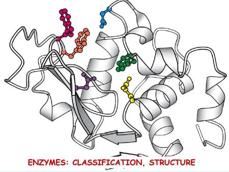 ENZYMES: CLASSIFICATION, STRUCTURE