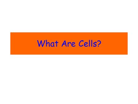 What Are Cells?. What are Cells? 1. A cell is a basic unit of structure and function in all living things; therefore, all living things are made up of.