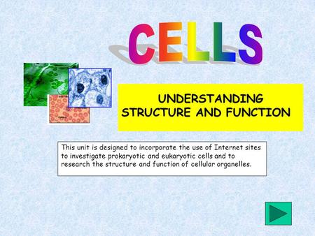 UNDERSTANDING STRUCTURE AND FUNCTION This unit is designed to incorporate the use of Internet sites to investigate prokaryotic and eukaryotic cells and.